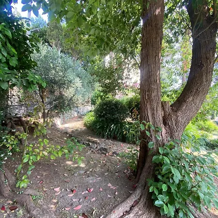 Villa Casa Orsi - In San Michele