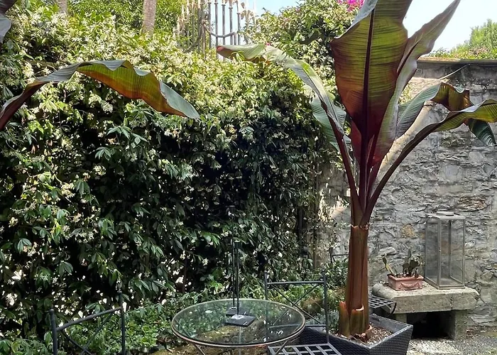 Casa Orsi - In San Michele Villa Rapallo